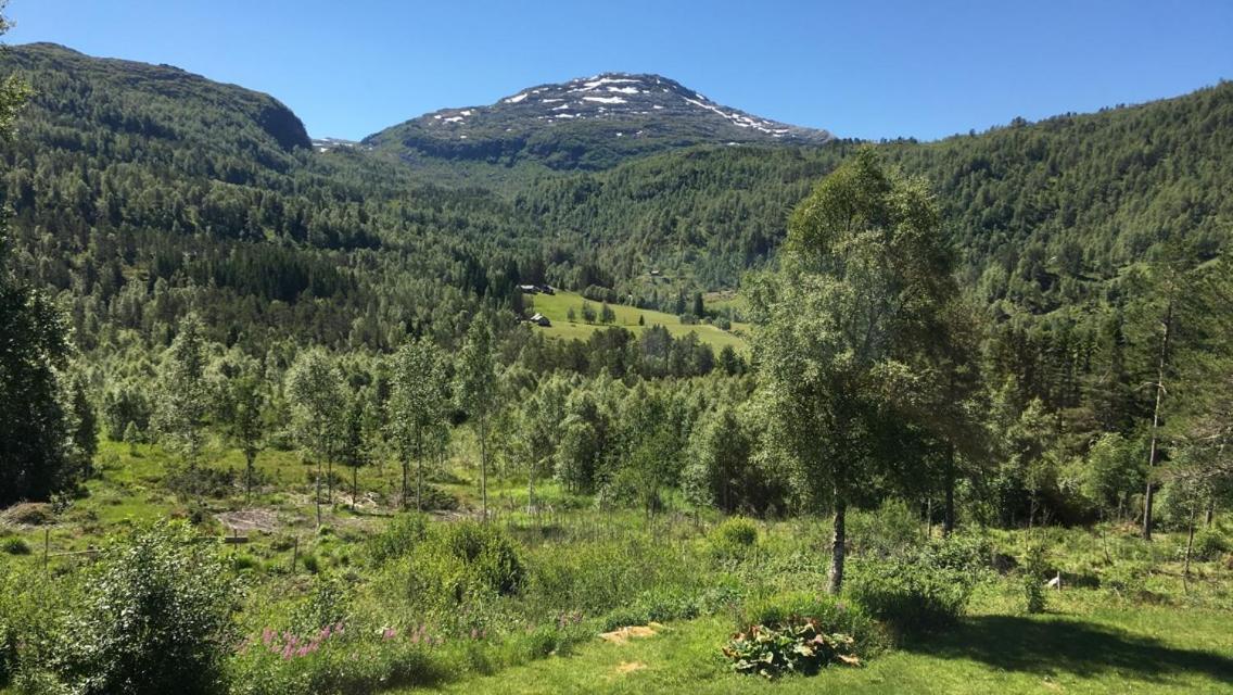 Voss Lodge Rongastovo Dış mekan fotoğraf