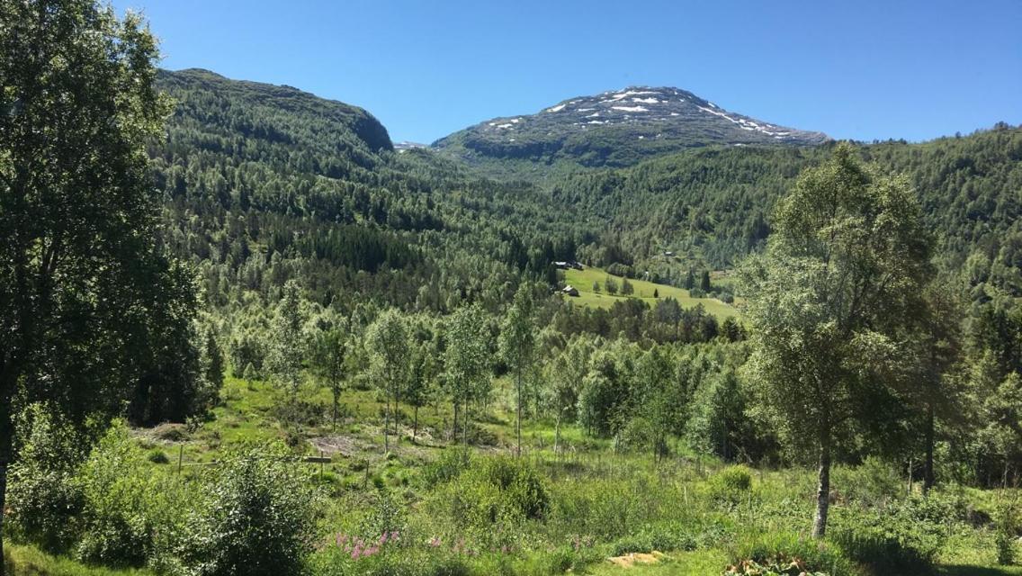 Voss Lodge Rongastovo Dış mekan fotoğraf