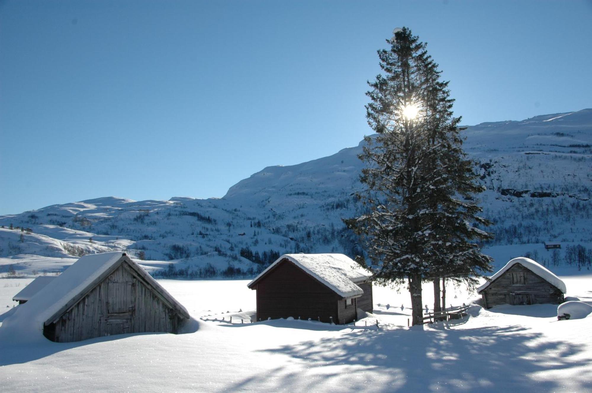 Voss Lodge Rongastovo Dış mekan fotoğraf